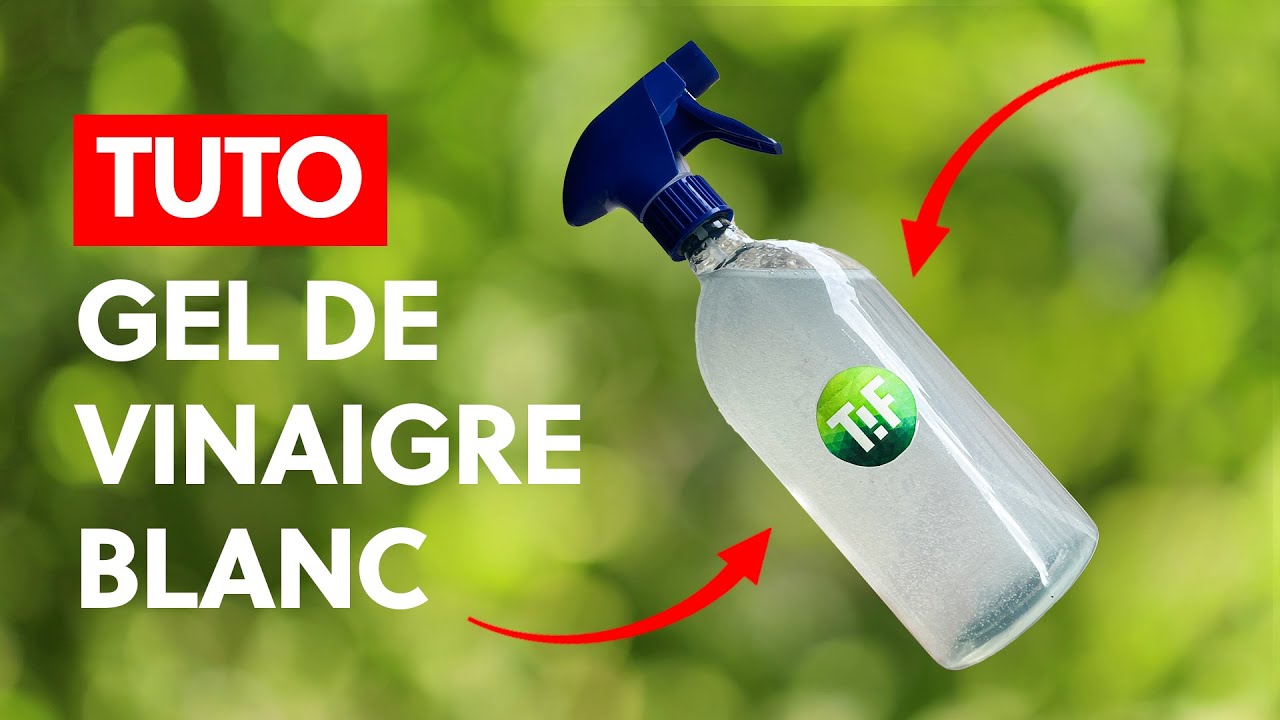 Comment faire du GEL DE VINAIGRE BLANC très SIMPLEMENT