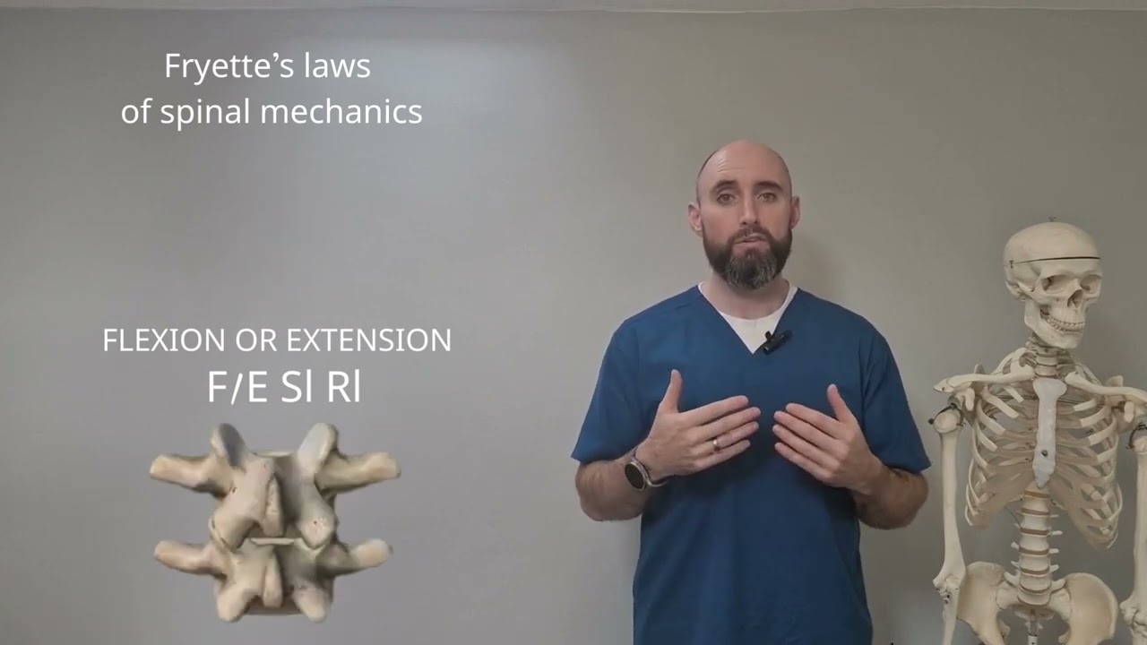 FRYETTE'S LAWS 1 2 @Mltherapies osteopathy , #physicaltherapy , #chiropractic