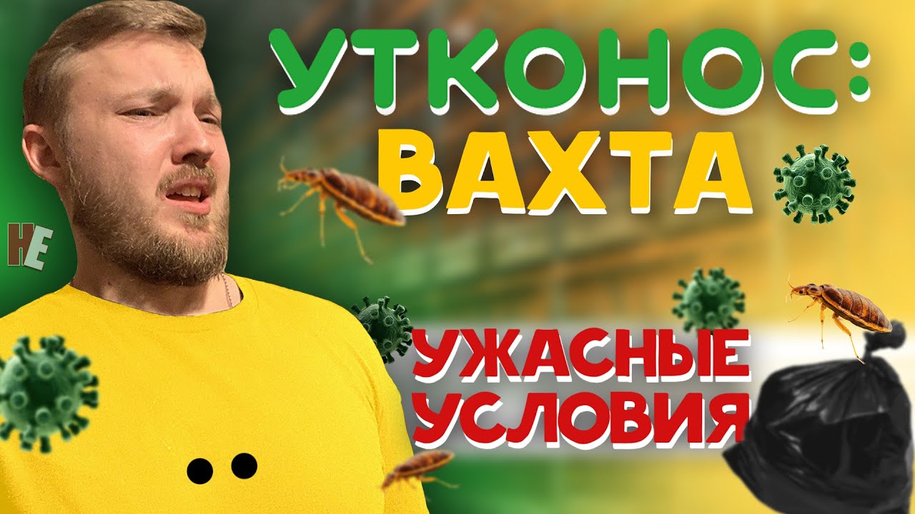 ВАХТА В МОСКВЕ - РАБОТА В УТКОНОС. ВСЯ ПРАВДА! УСЛОВИЯ, ЗАРПЛАТА!