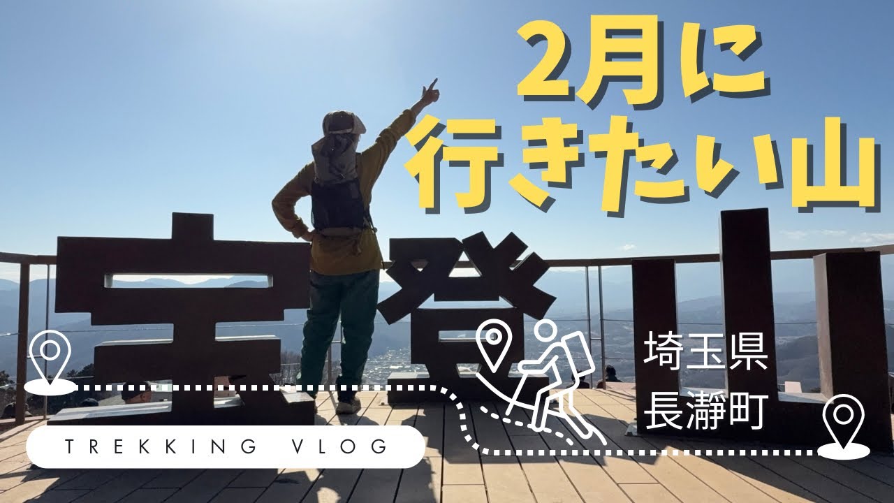 【宝登山】2026年2月12日の蝋梅の状況は？｜山頂の新スポットやこたつ舟も楽しむ1日