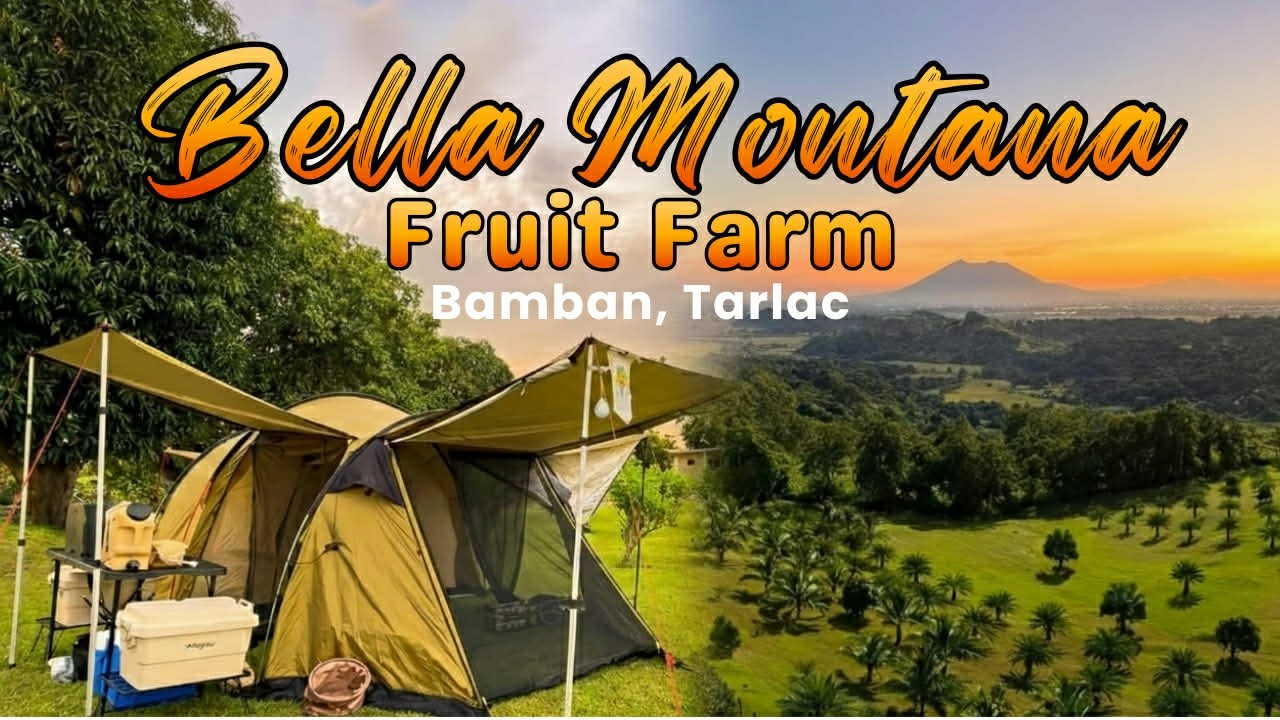 Bella Montana Fruit Farm | Bamban Tarlac | November 2025