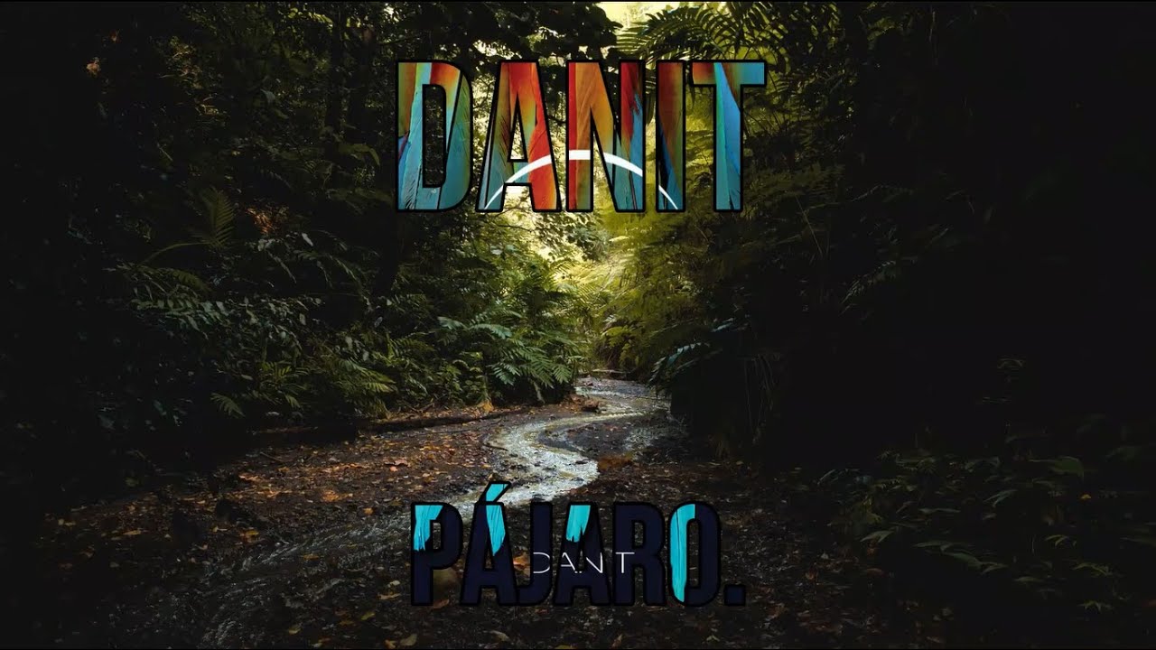 Danit - P&aacute;jaro (Lyrics / Letra)