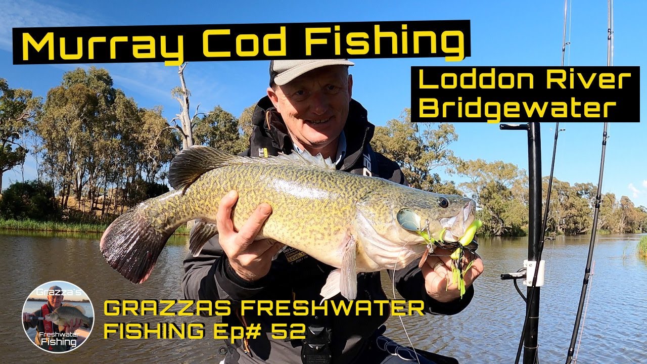 Murray Cod Fishing |Loddon River Bridgewater