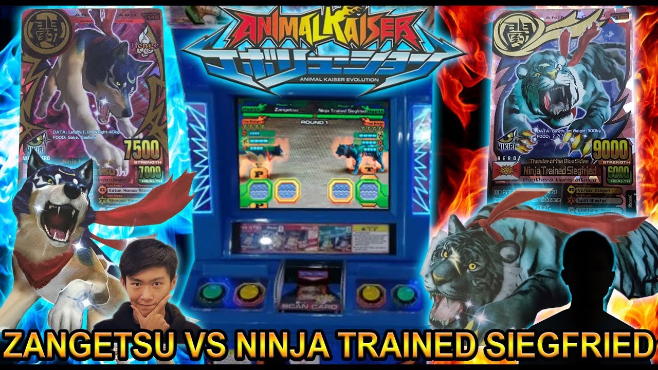 GURU MELAWAN MURID, SIAPA LEBIH KUAT !!! - ANIMAL KAISER EVOLUTION #1