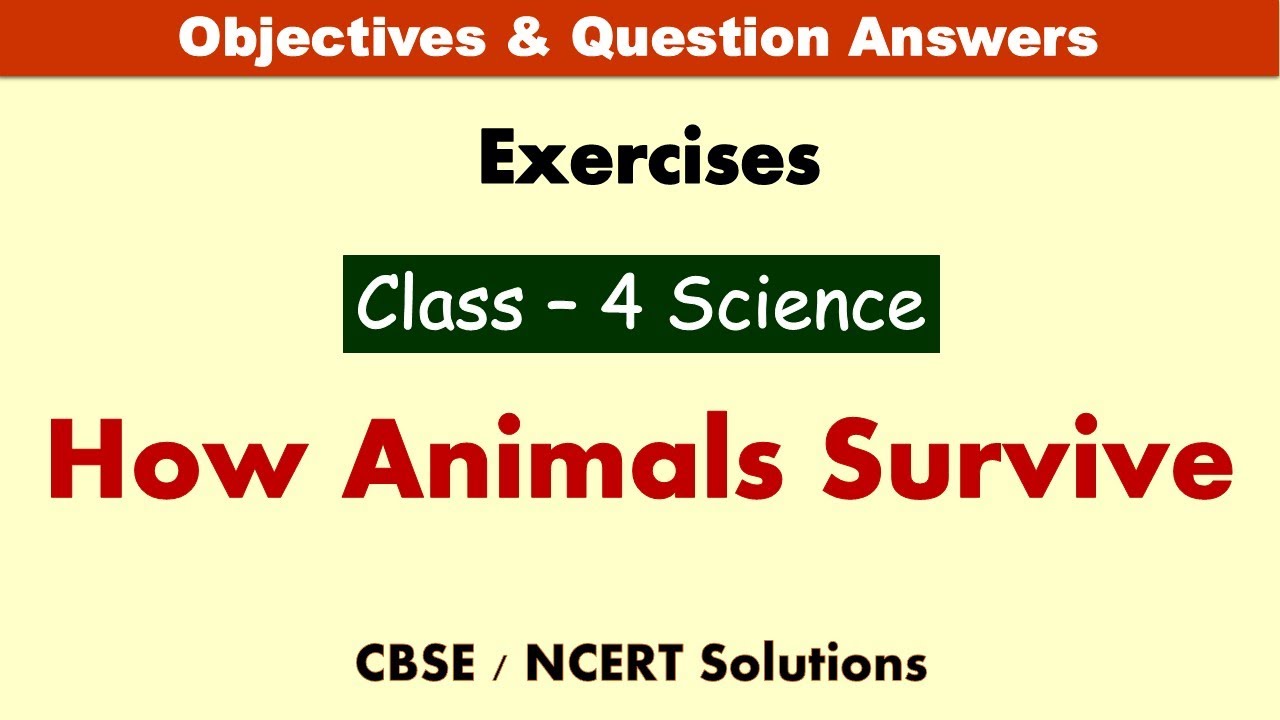 How Animals Survive 🐾 | Class 4 Science Made Easy | CBSE Exercises & Answers! Grade 4 Science Quiz