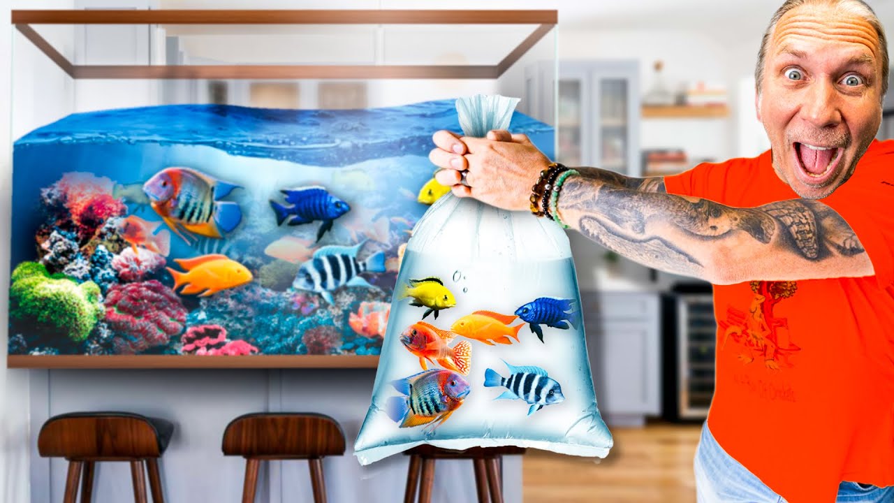 I Got Rainbow Fish For My 750g!