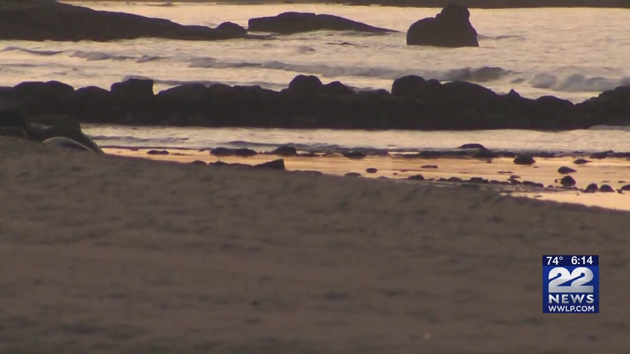 Fifth ocean officially added to world's map