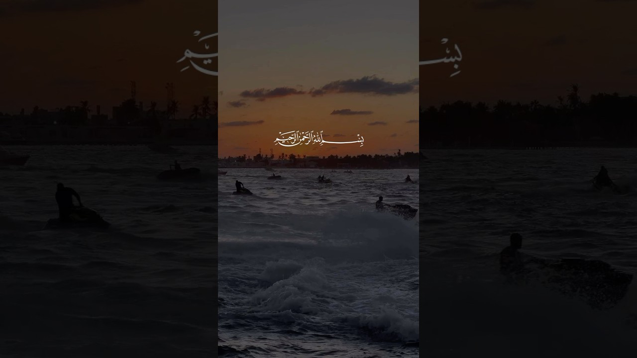 سورة النصر : ما شاء الله ✨✨