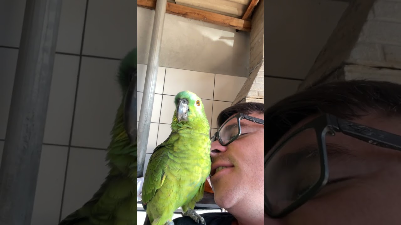 Da o pé vem meu amor 🦜🦜🫶🏻🫶🏻😍😍❤️❤️