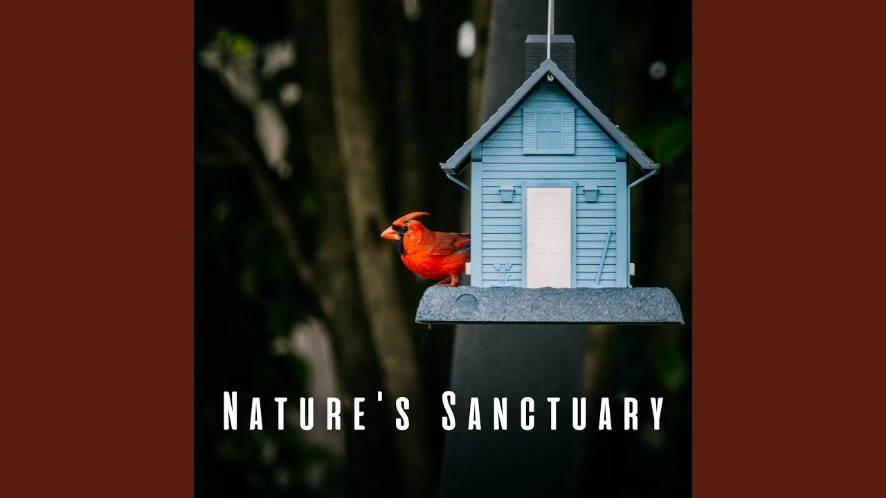 Serene Nature's Escape