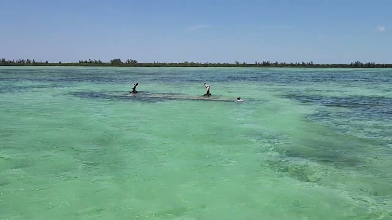 South Bimini Plane Wreck Snorkeling Visit