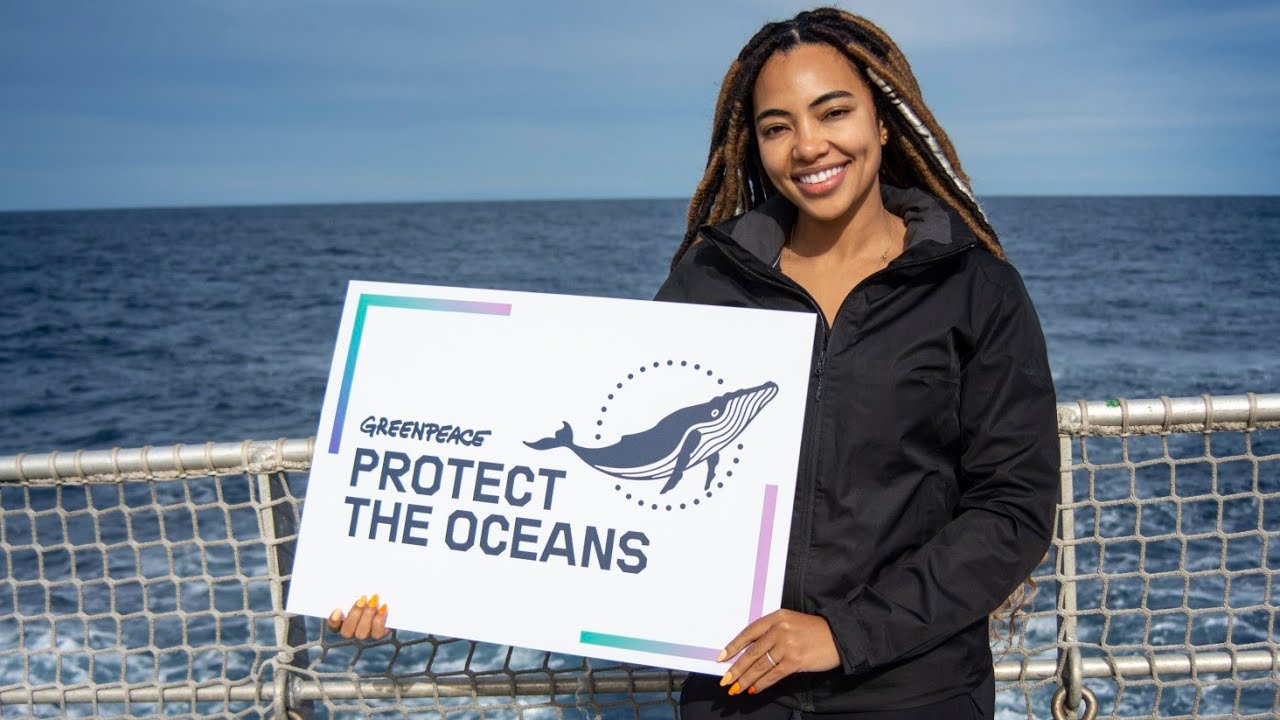 GREENPEACE | Voyage to Mount Vema