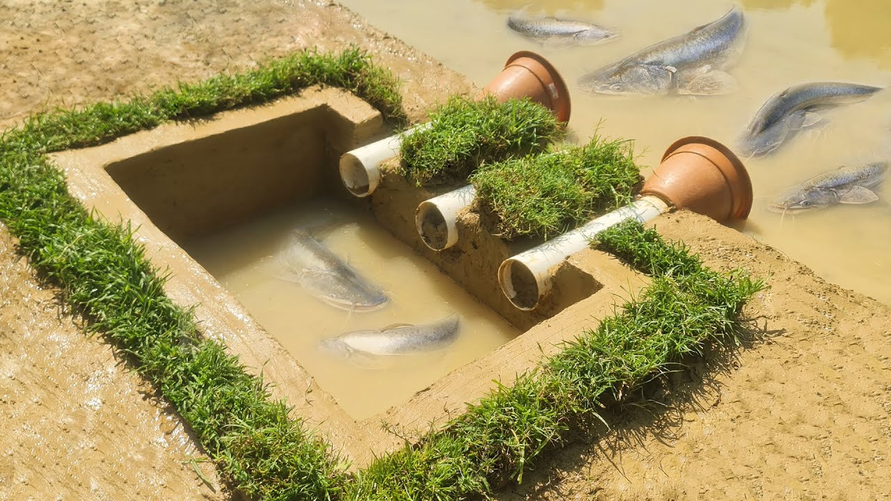 Amazing Fish Trap In The Deep Hole - Making an Underground Fish Trap System Using PVC Pipe