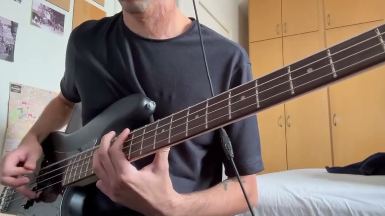 Hum -  I'd Like Your Hair Long (Bass Cover)
