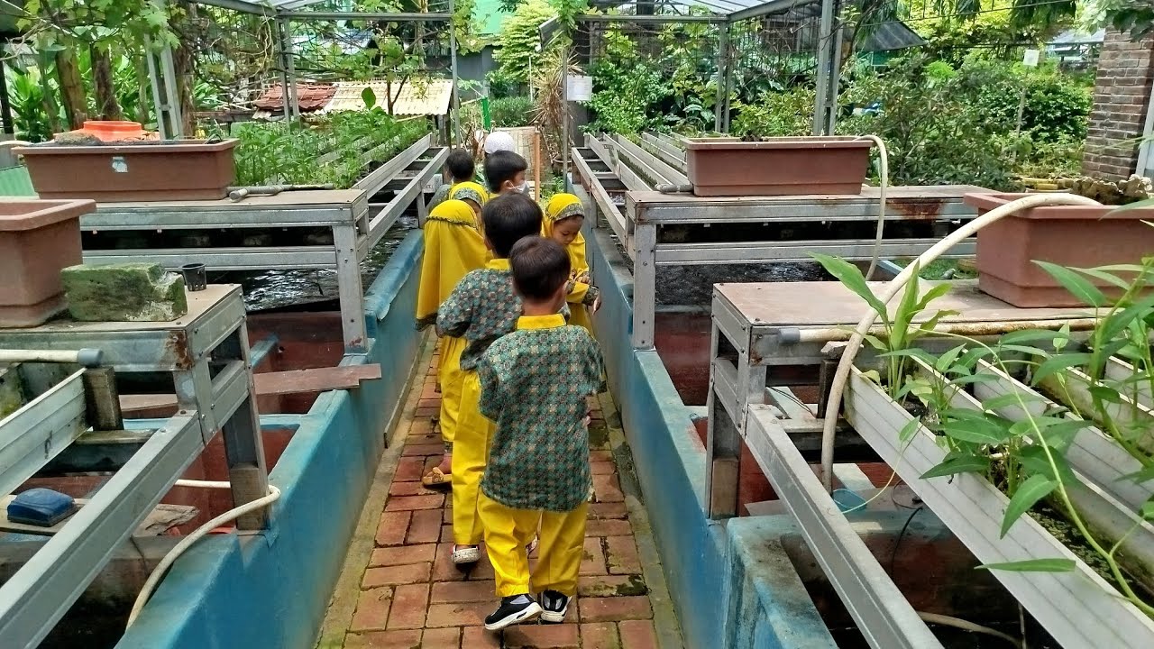 Senin, 02 Februari 2026