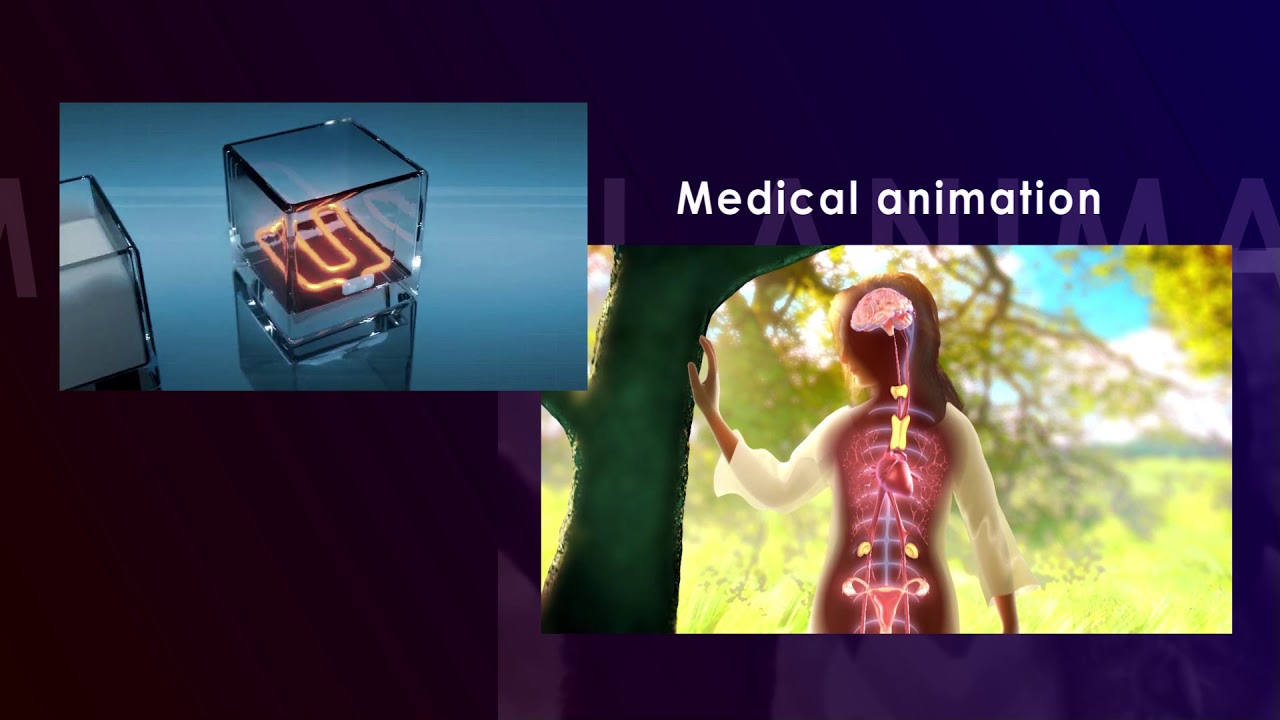 Animation Reel