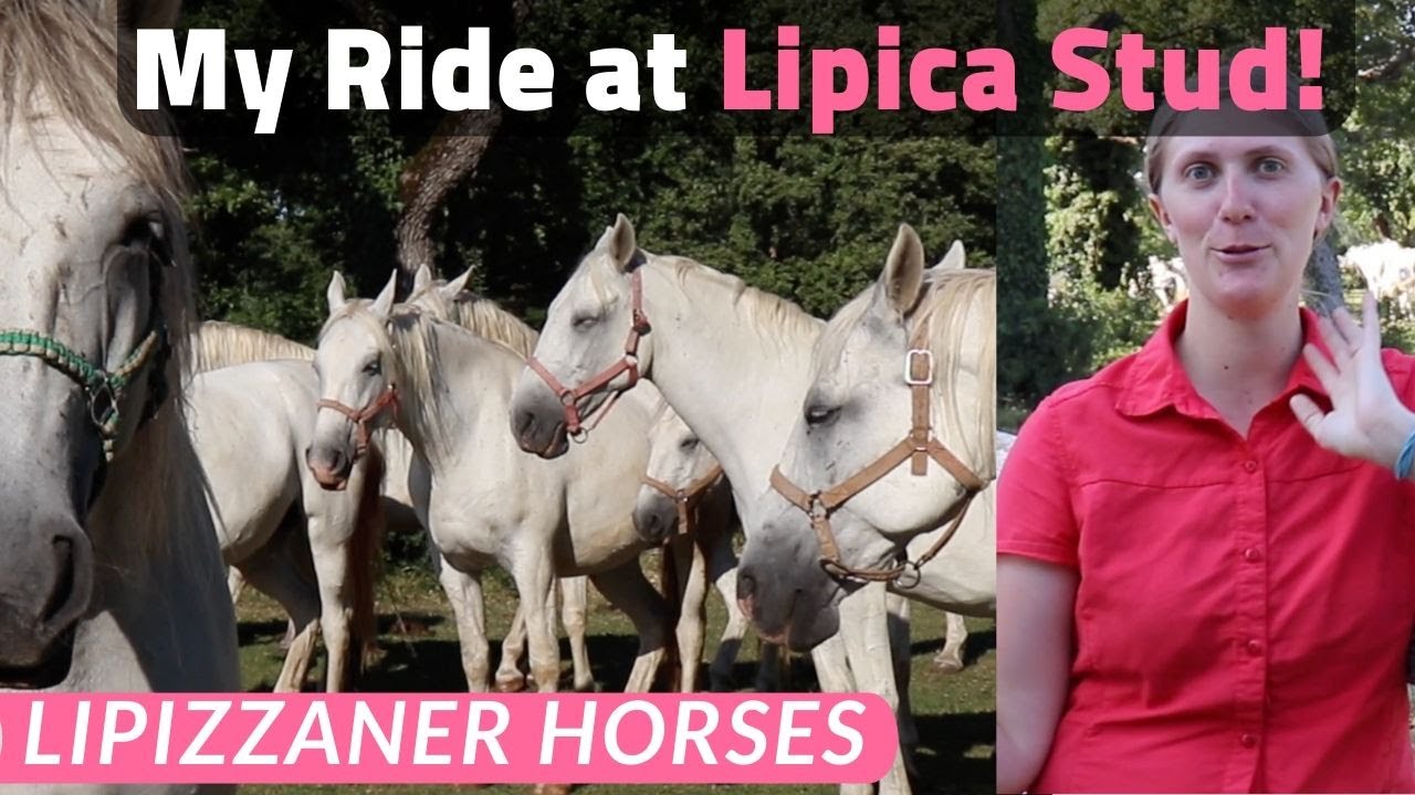 Lipica Stud Slovenia on Horseback: The World Famous Lipizzaner Stallions