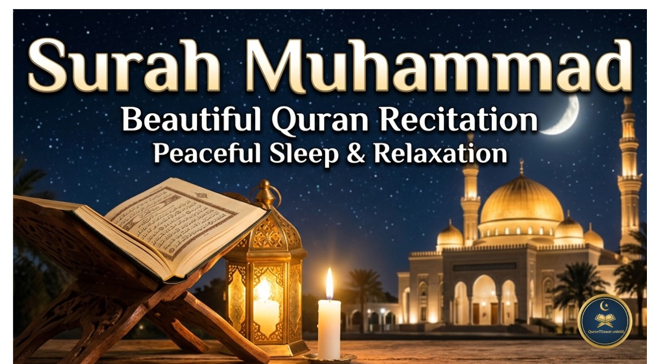🔴 LIVE Surah Muhammad | Beautiful Quran Recitation | Peaceful Tilawat for Sleep & Relaxation