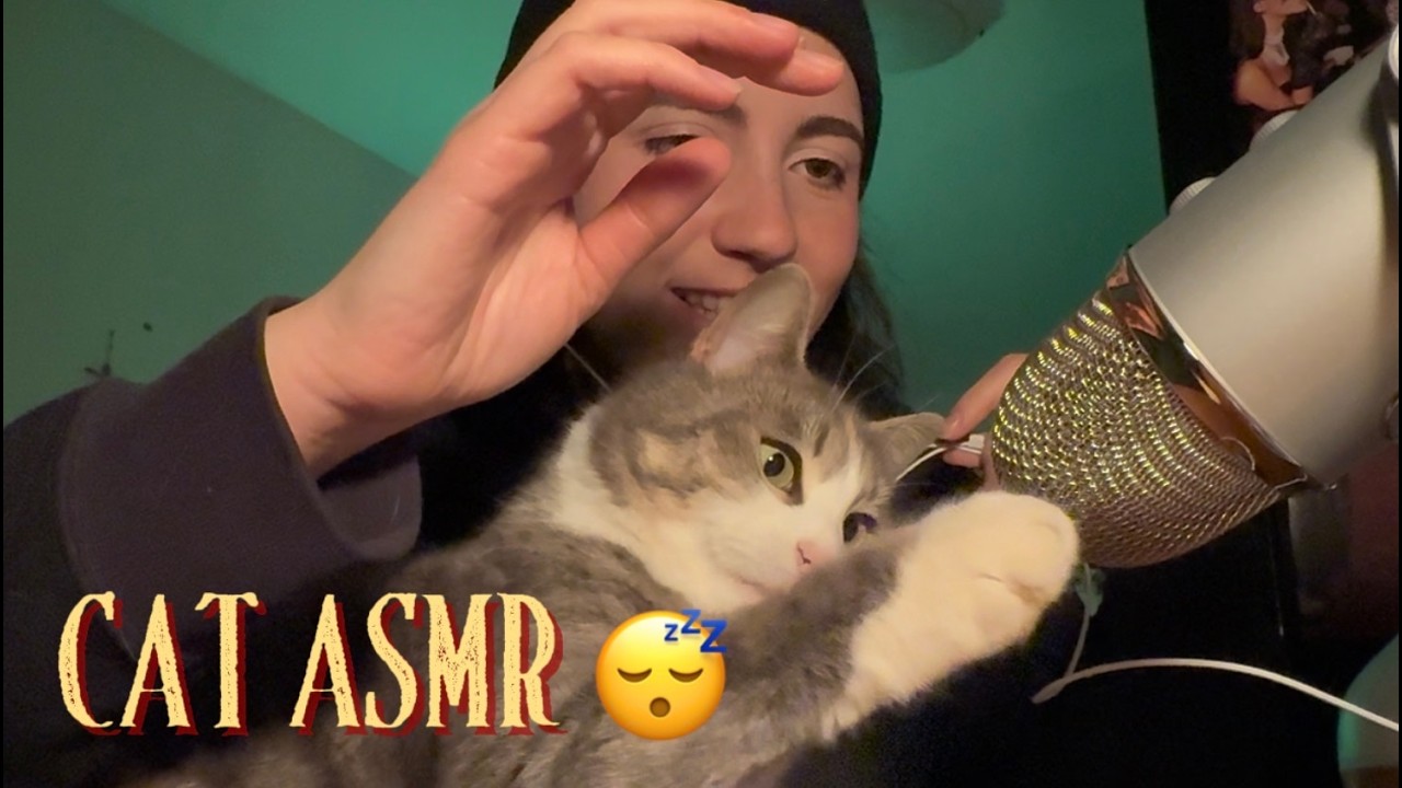 La mia gatta prova l’ASMR - fusa e coccole - per me graffi e morsi - LeriBee