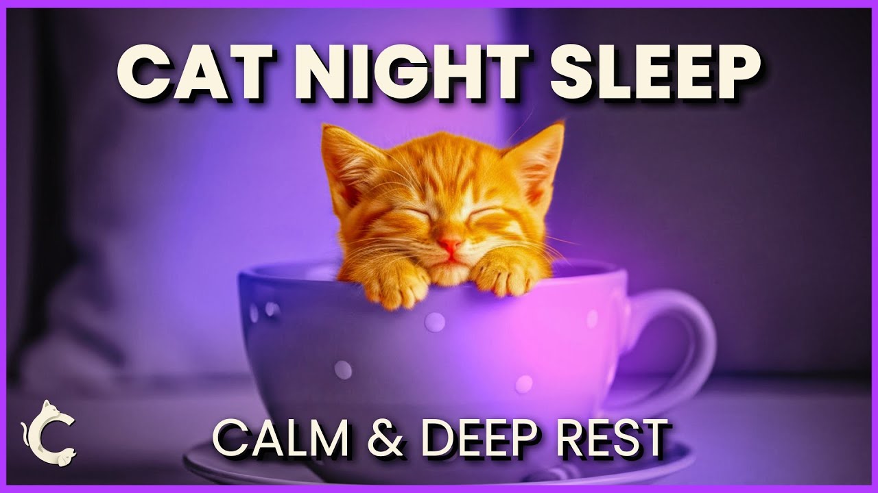 Cat Night Sleep Music 🐾 Gentle music for Calm & Deep Rest