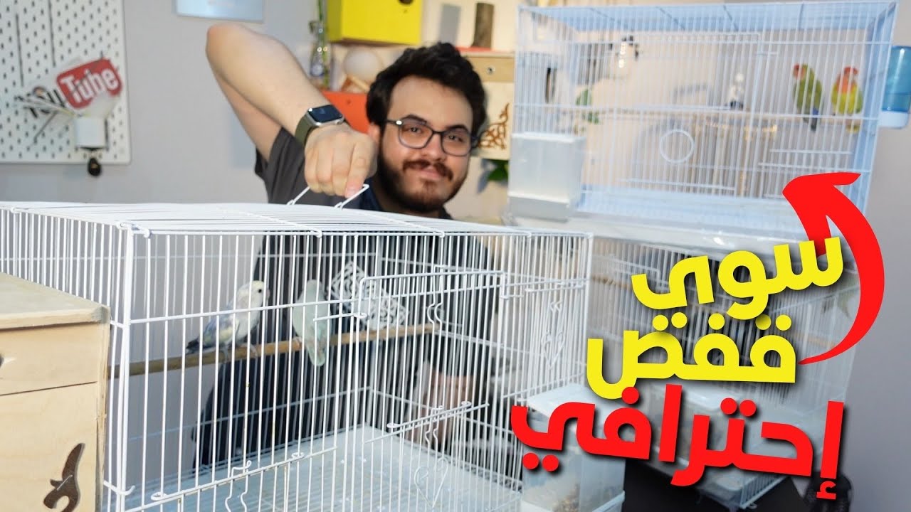 سويت اقفاص جديدة للطيور لغرض الإنتاج منهم