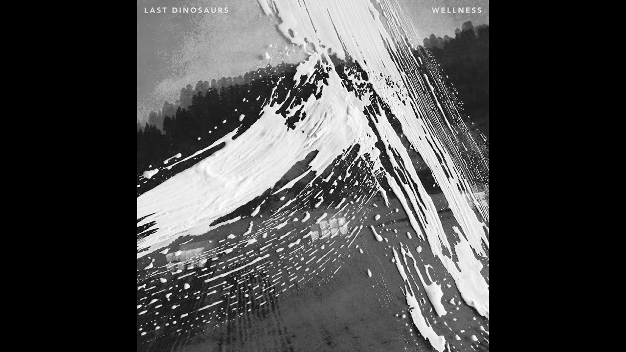 Last Dinosaurs - Wellness (Demo Versions)