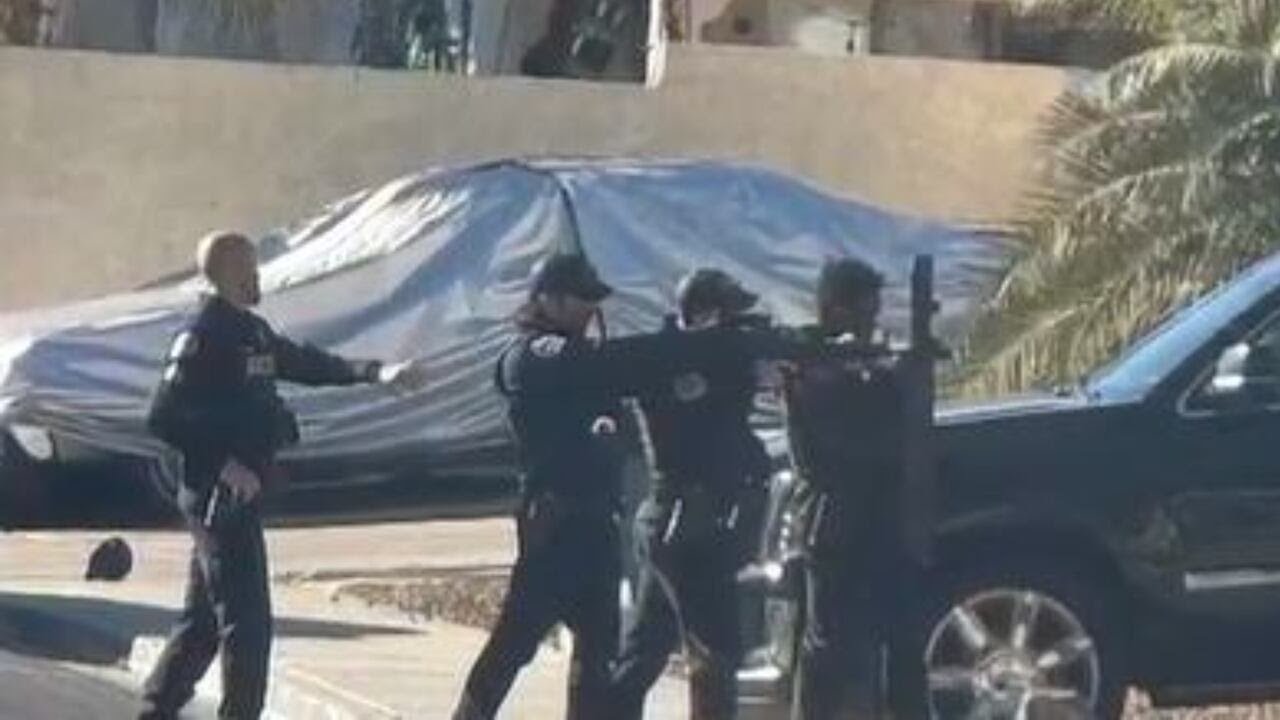 'Threatened to boil my puppies': Man shot, killed by police after chasing ex with knife