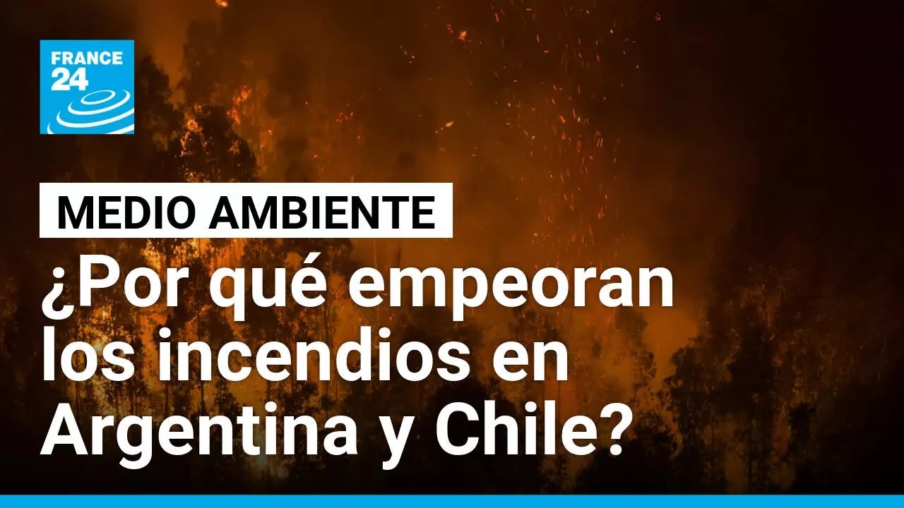 ¿Por qué cada temporada de incendios es peor en Chile y Argentina? • FRANCE 24 Español
