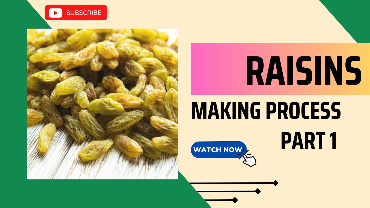 Raisin Making Process Part 1 #raisin #grape #agriculture