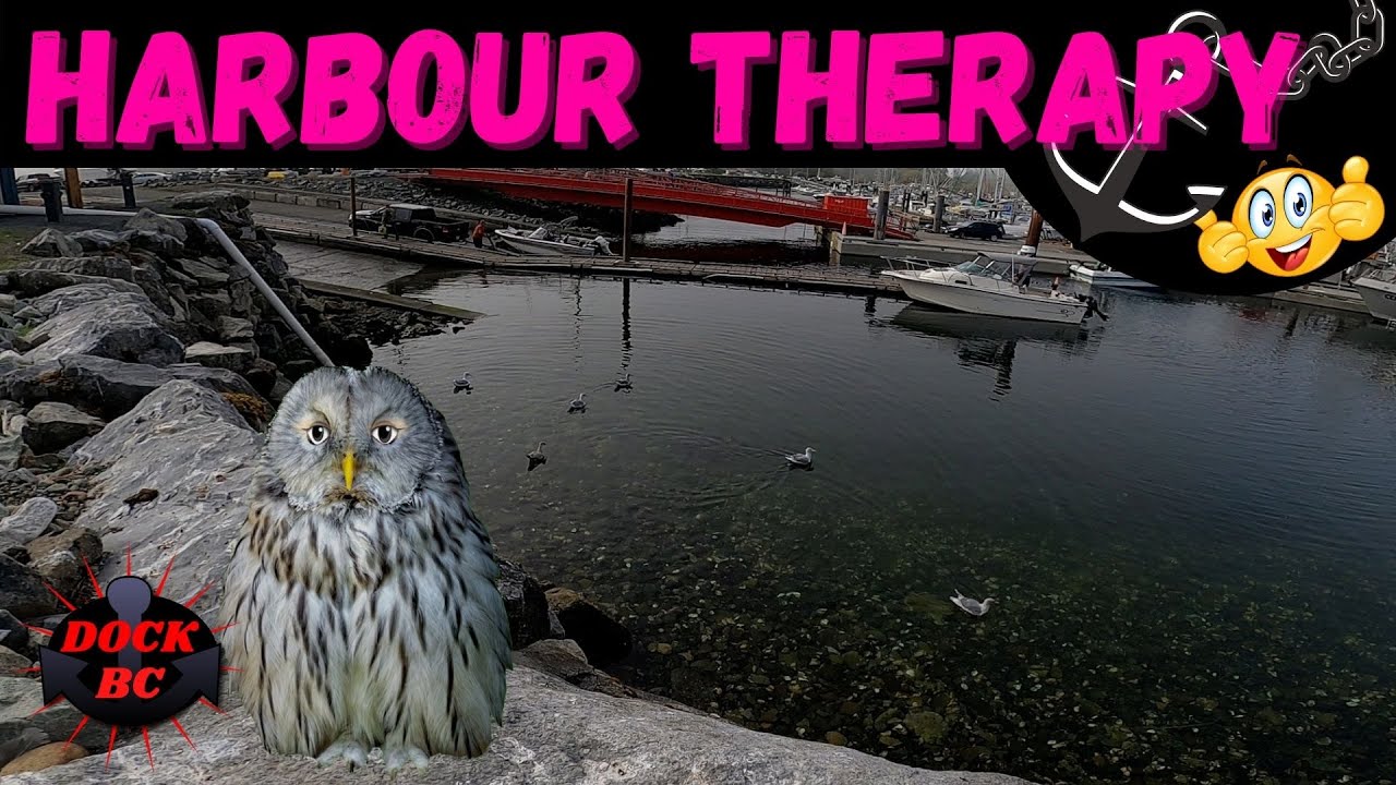 Harbour Therapy / Dock BC