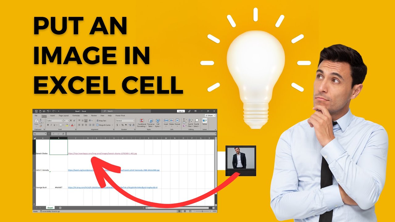 Put an Image on excel file easy way | Insert web hosted image