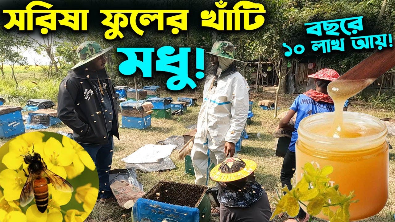 খাঁটি সরিষা ফুলের মধু বিক্রি করে বছরে ১০ লাখ আয় যুবকের | উদ্যোক্তার খোঁজে