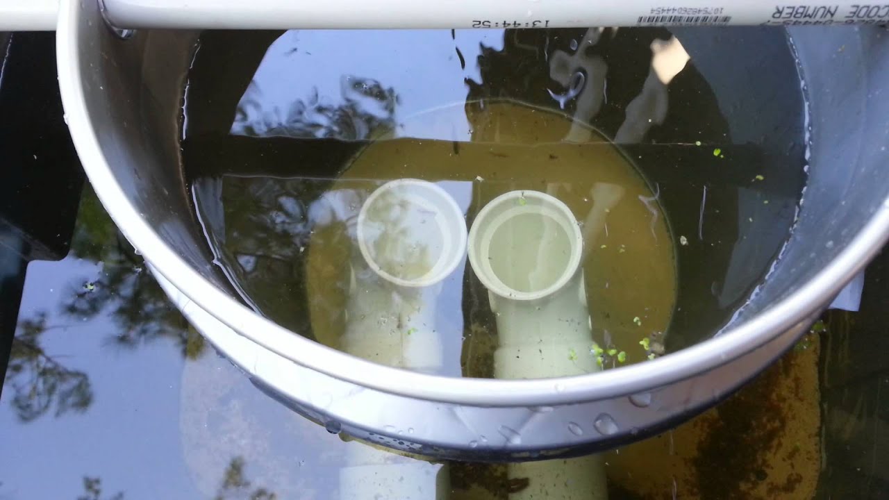 Aquabiotic Radial Flow Filter