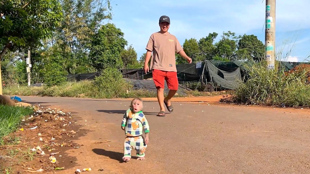 So Excited! CUBIS Can’t Hide His Joy on a City Walk with Dad