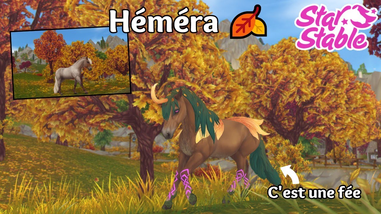 Achat de l'Héméra 🥰🍂| Star Stable Online
