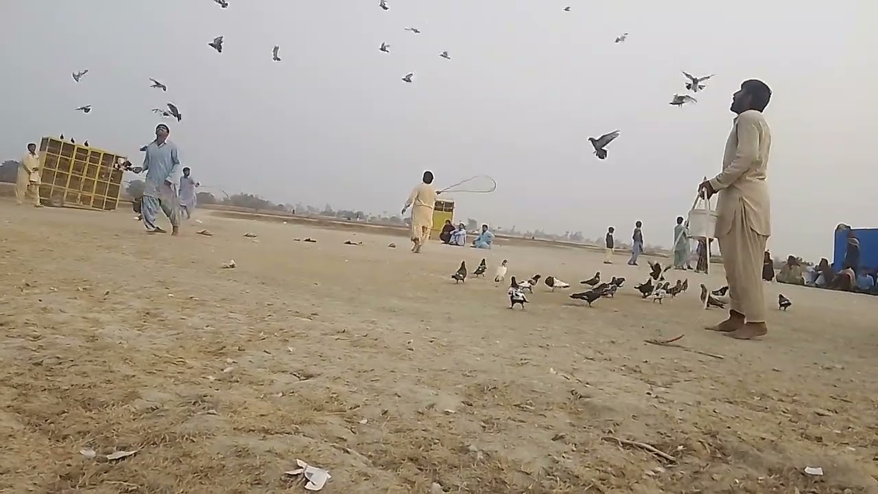 نیلے شو والے نے پیلہ رکھ دیا  گونجے لونجے بمقابلہ میدا جت زبردست مقابلہ 