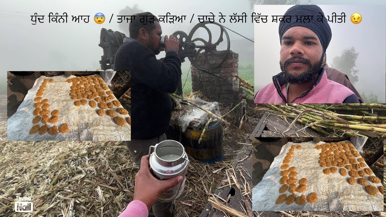 Pinda da taja gud #automobile #jattlifestudio #videochannel #trending #farming 