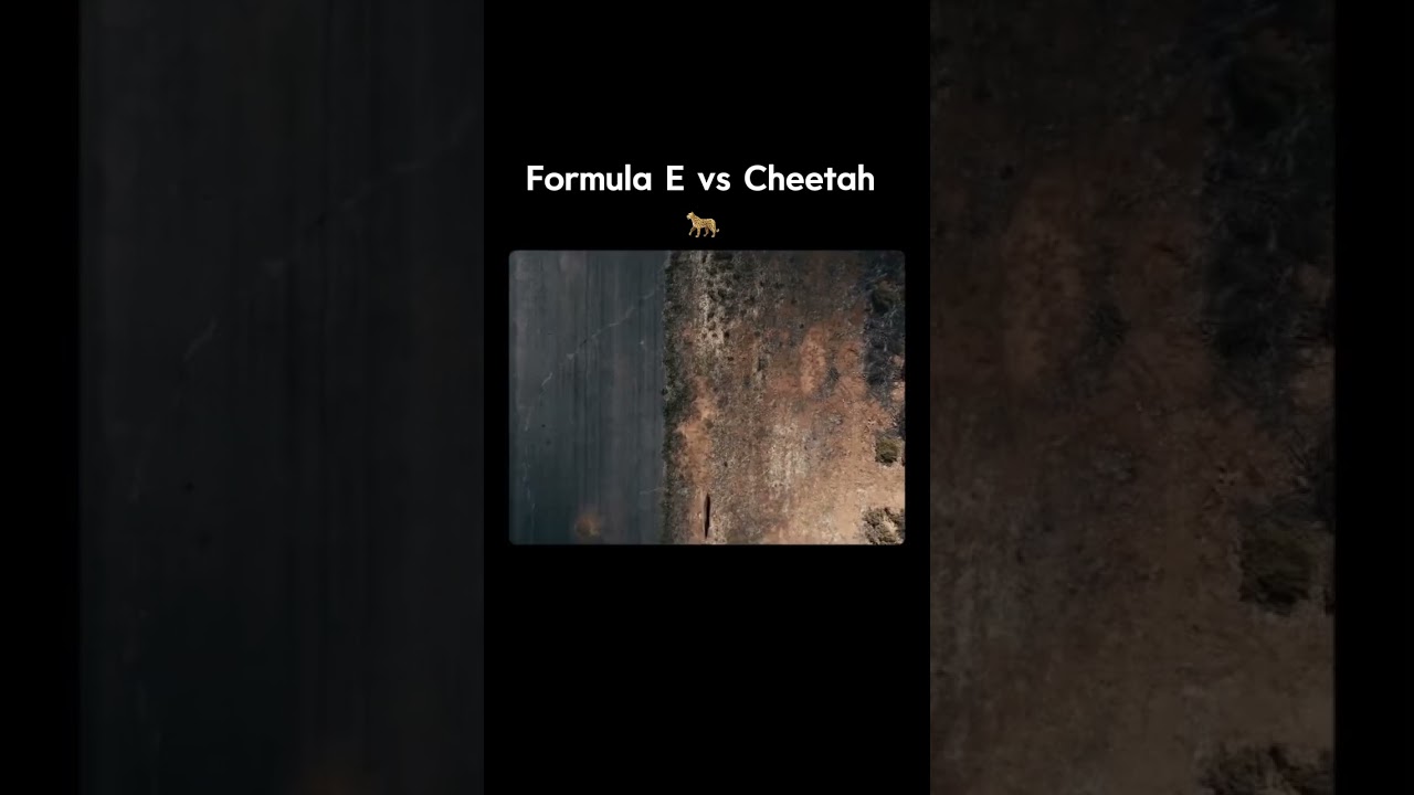 Cheetah vs fastest car #inspirational #news #focus #bmw