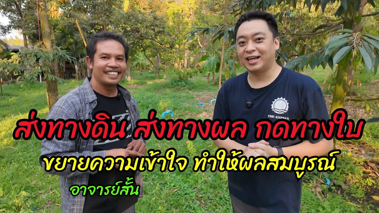 หลักการให้อาหาร ส่งทางดิน ส่งทางผล แต่กดทางใบ พื้นฐานหลักการคืออะไร | อาจารย์สั้น