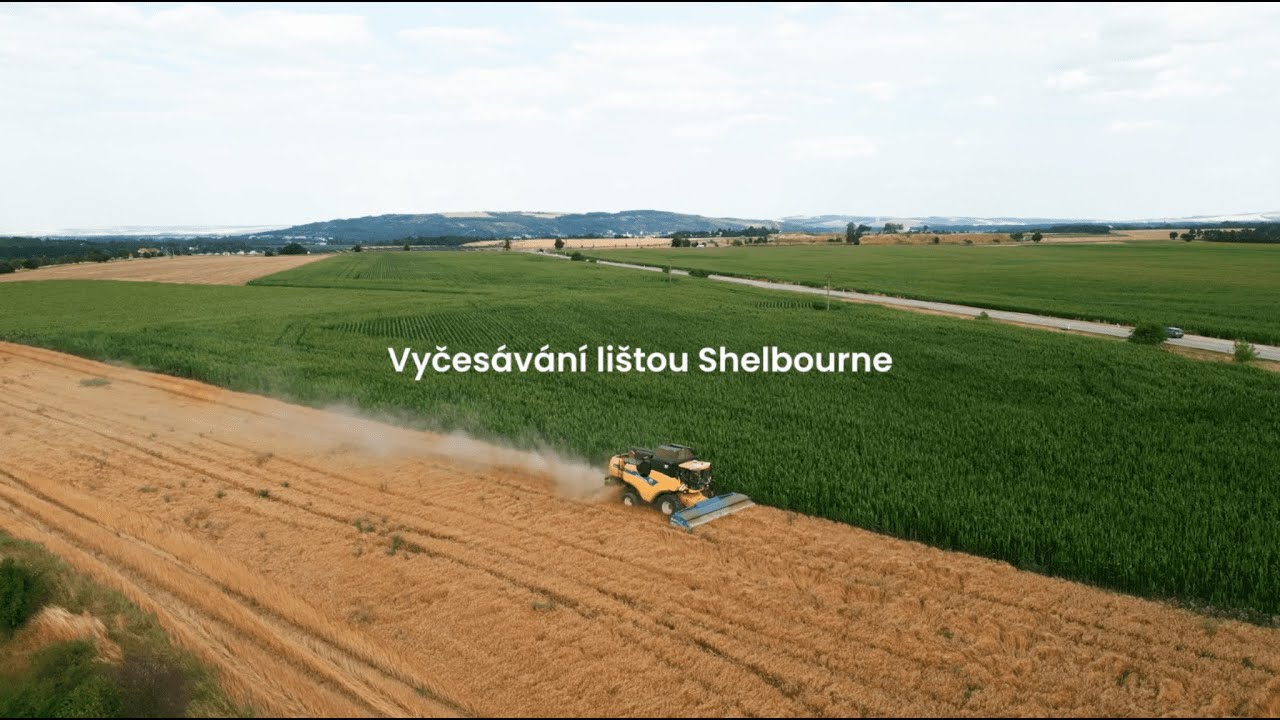 Vyčesávání lištou Shelbourne