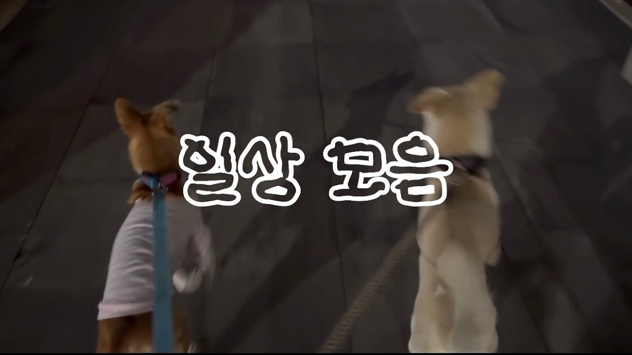 지루하기 짝이 없는