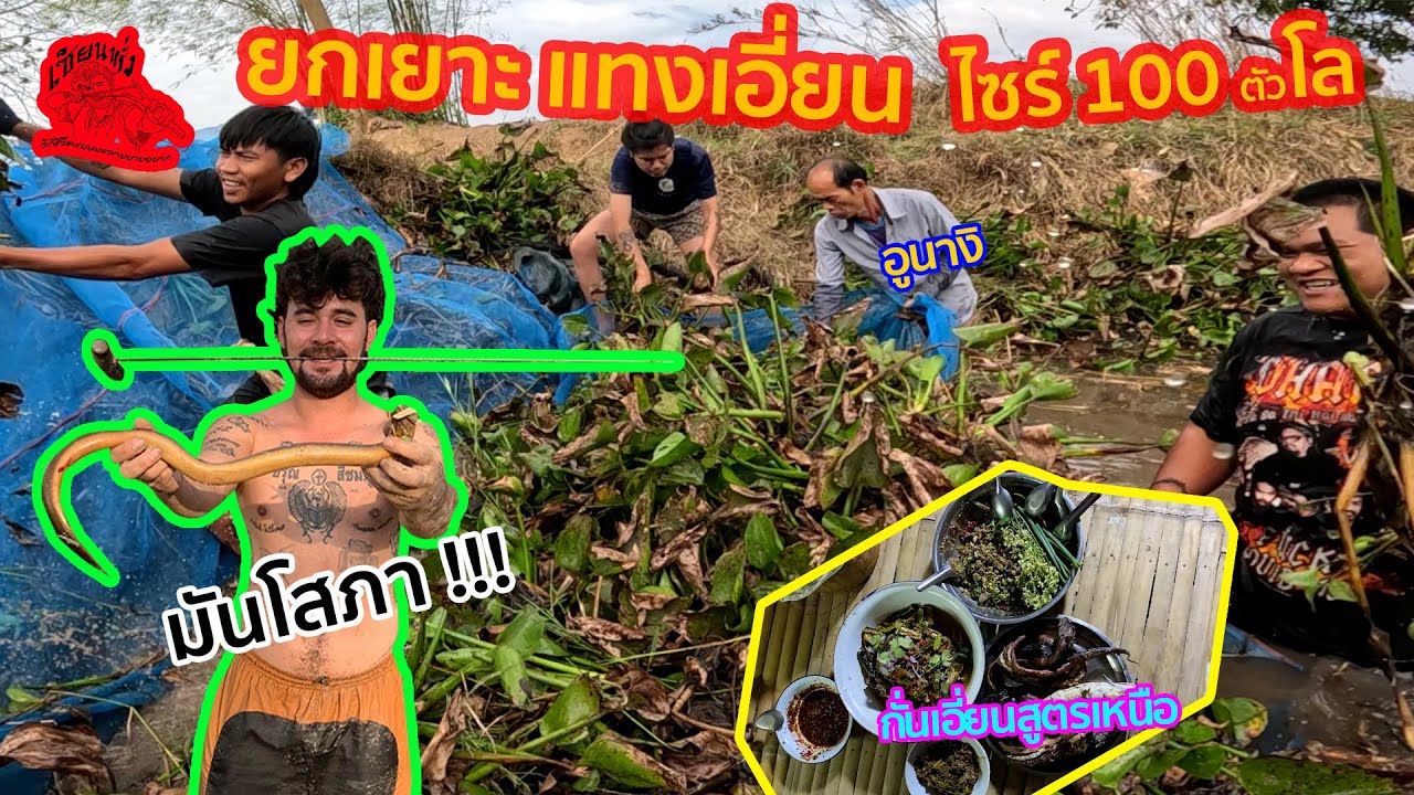 เซียนหรั่ง l วิถีชีวิตแบบมะลายยายอยาก l  ตอน ยกเยาะ แทงเอี่ยนไซร์ 100 ตัวโล