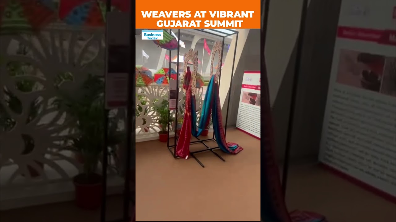 From Sarees To Paintings, Gujarat Artists At Vibrant Gujarat Summit 2024