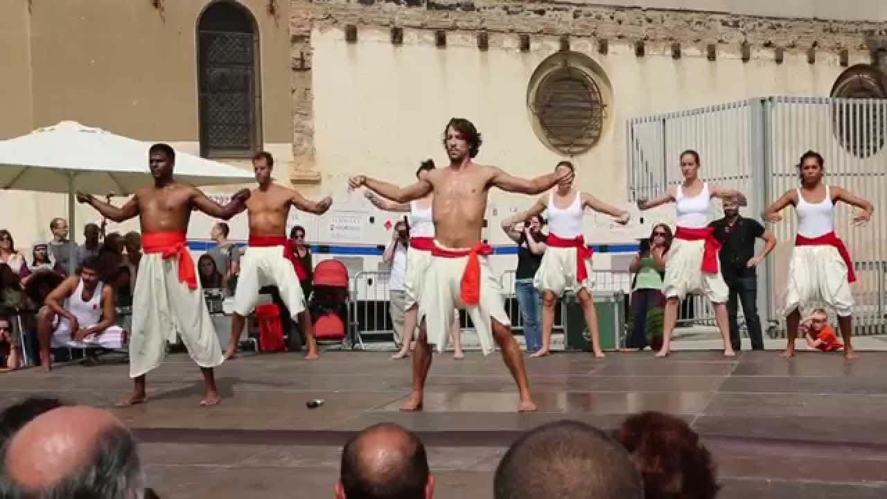 Exhibición de Kalaripayattu