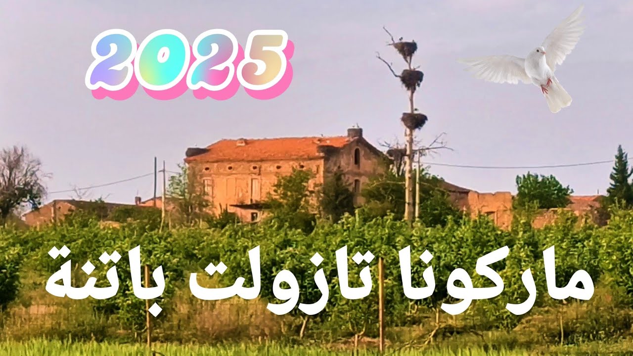 ماركونا تازولت باتنة 🌳🌻🥀🌄