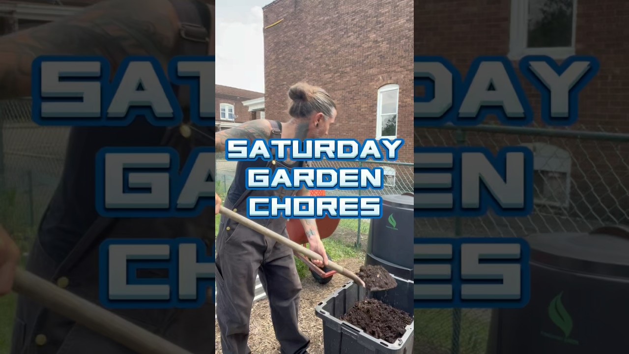 Saturday garden chores with some updates on what we got going on in the garden. #garden #gardening