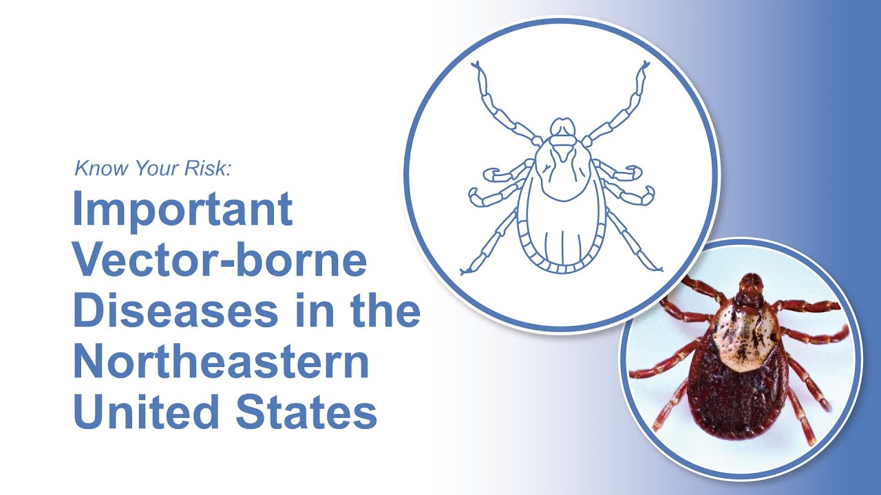 Know Your Risk: Important Vector-borne Diseases in the Northeastern United States