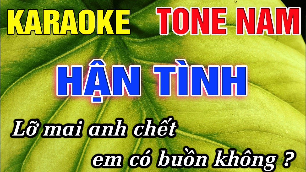 Hận Tình Karaoke Tone Nam Karaoke Đức Duy - Beat 2026