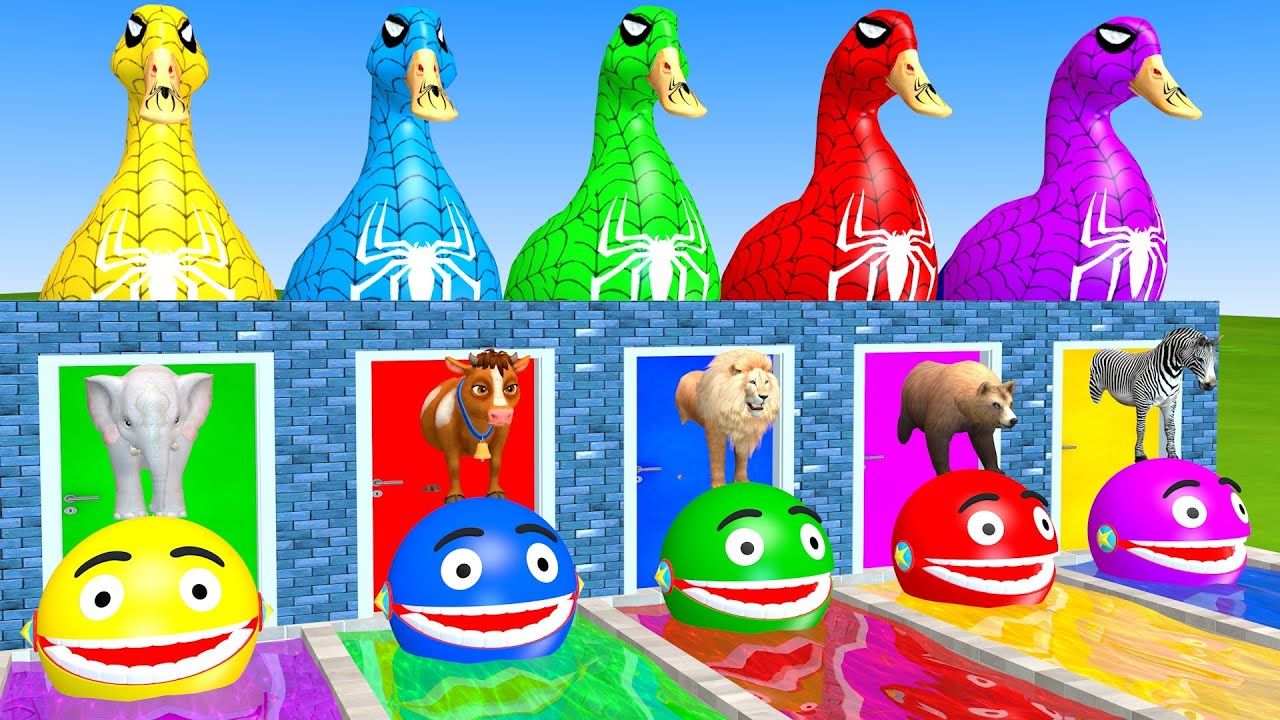 Long Slide Game With Elephant Cow Lion Bear Zrbra Hippopotamus 3d Animal Cage Game Funny 3d Animals