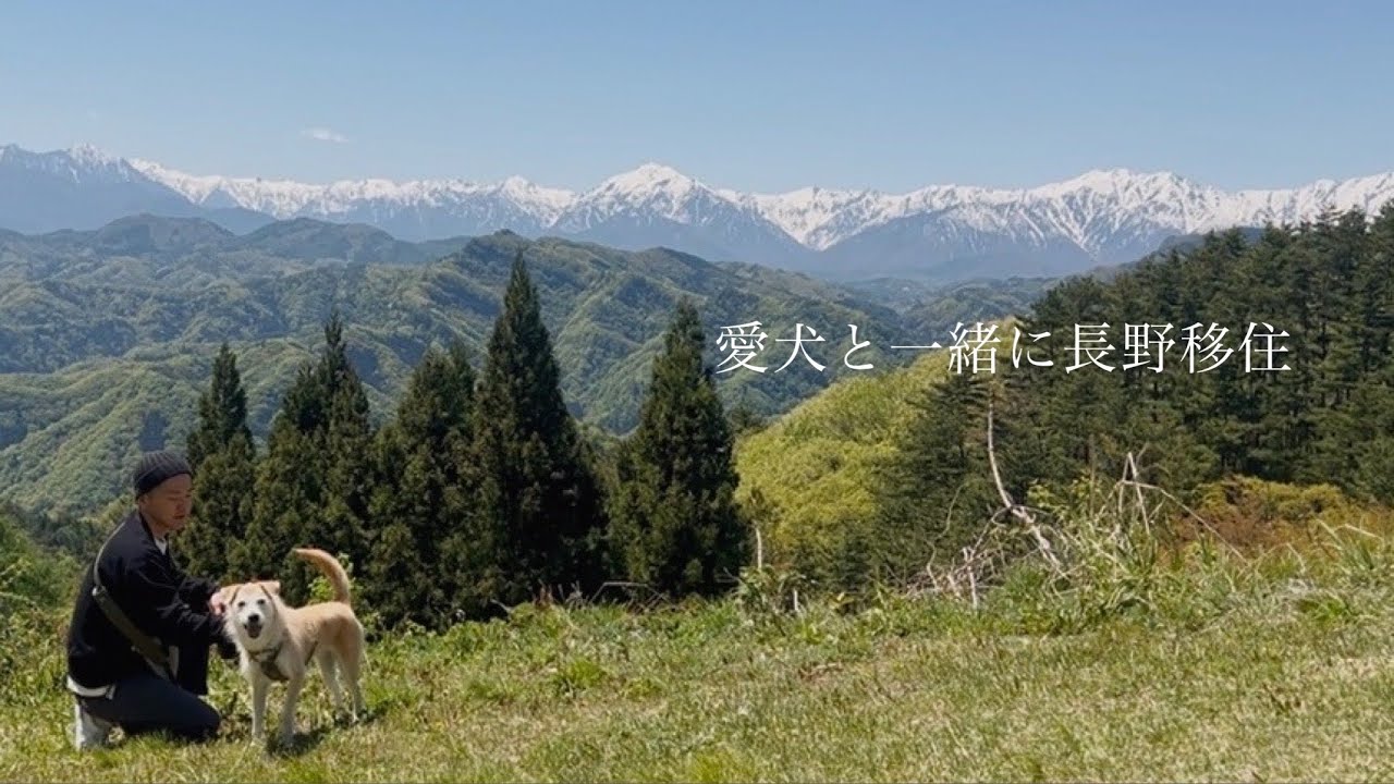 【愛犬と移住】移住から１ヶ月経った今思うこと｜絶景ドライブ｜春野菜とワインを楽しむ休日